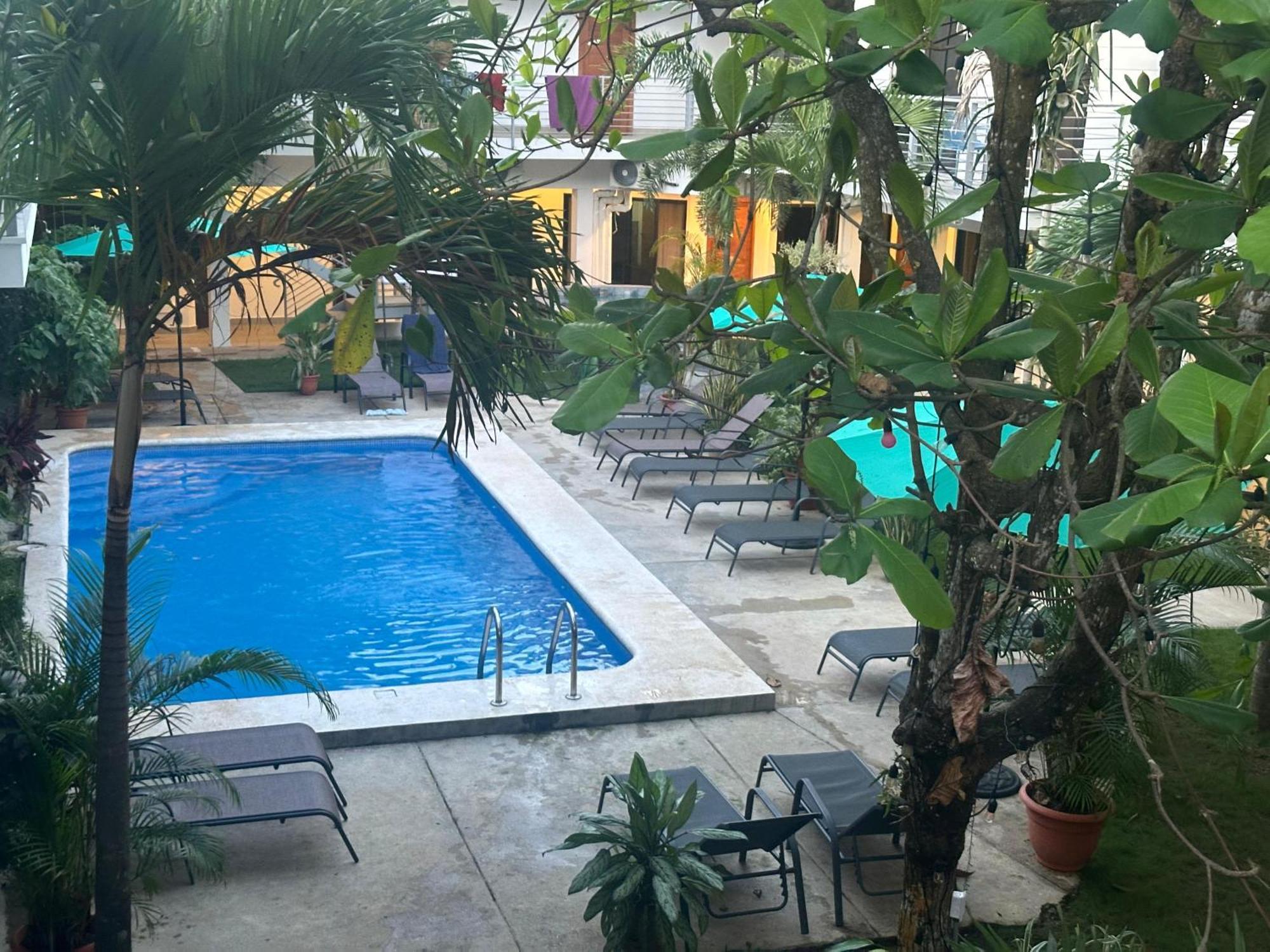 Private Fully Furnished Home At Wide Mouth Frog Hostel Quepos Exterior foto